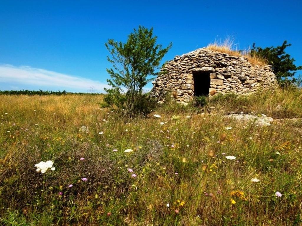 Cefalicchio B&B Каноса ди Пулия Екстериор снимка